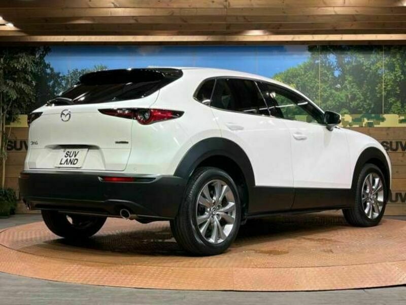 CX-30-17