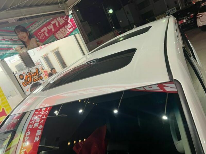 ALPHARD-21