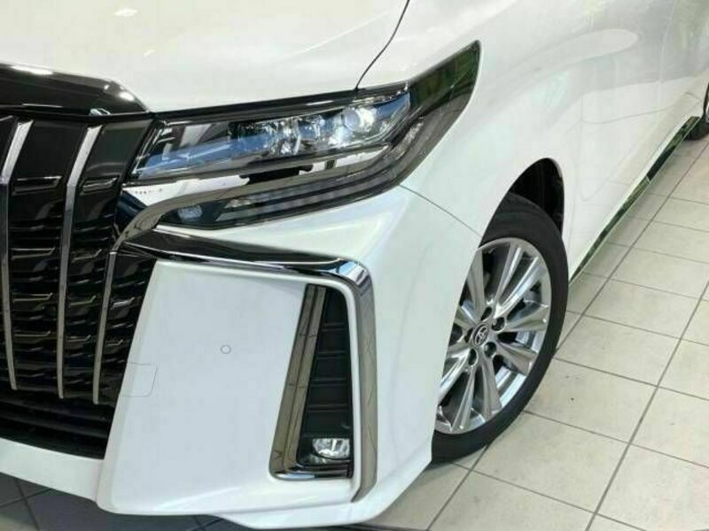 ALPHARD-13