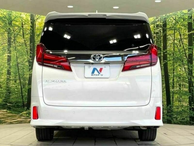 ALPHARD-16