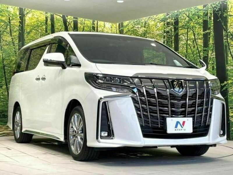 ALPHARD-17