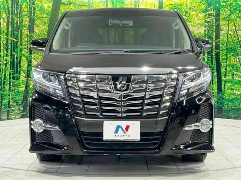 ALPHARD-14