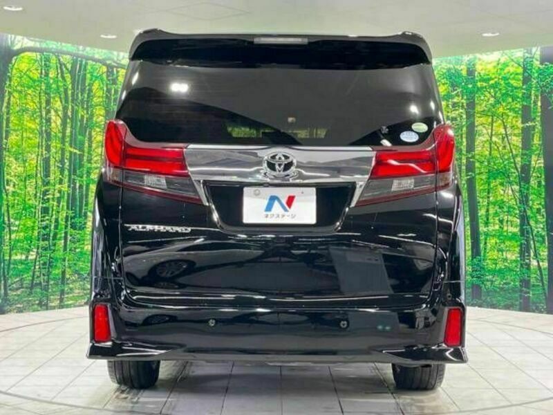 ALPHARD-15