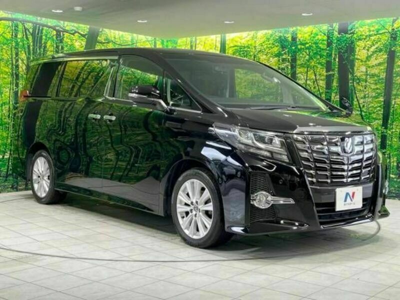 ALPHARD-16