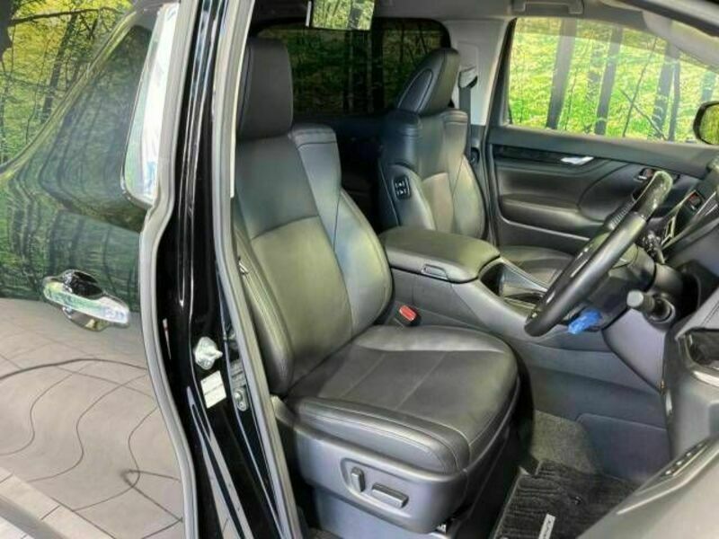 ALPHARD-10