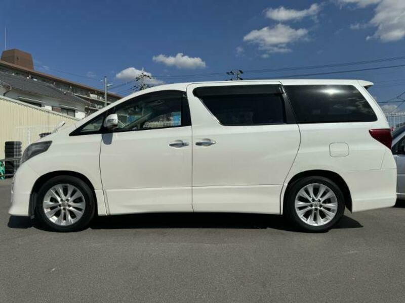 ALPHARD-10