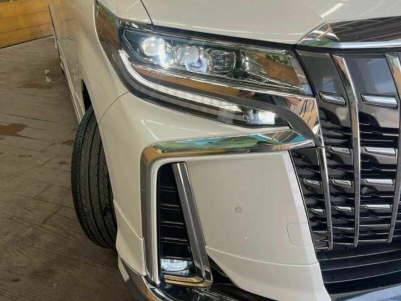 ALPHARD-13