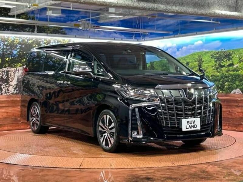 ALPHARD-17