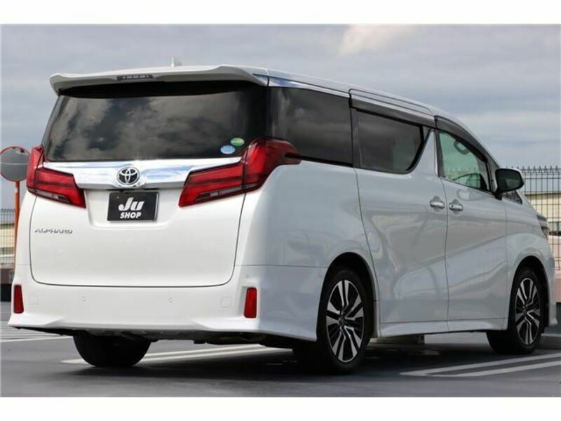 ALPHARD-6