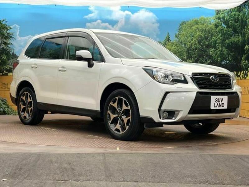 FORESTER-43