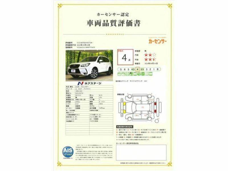 FORESTER-3