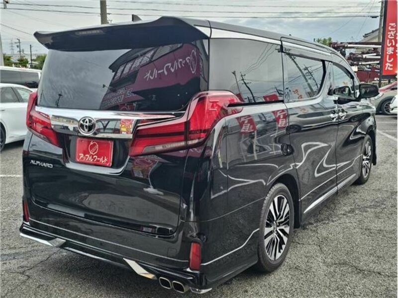 ALPHARD-42