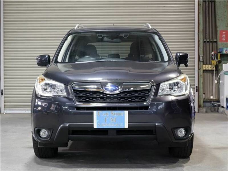 FORESTER-1