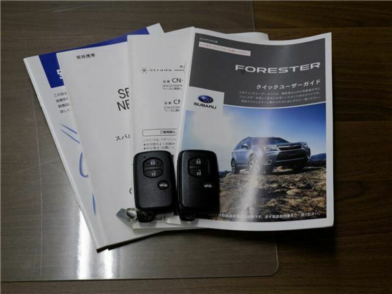 FORESTER-41