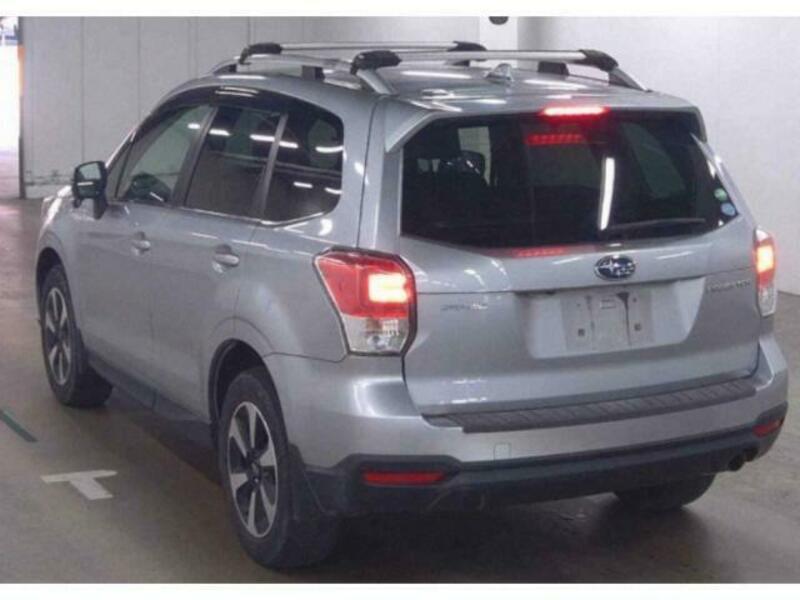 FORESTER-1