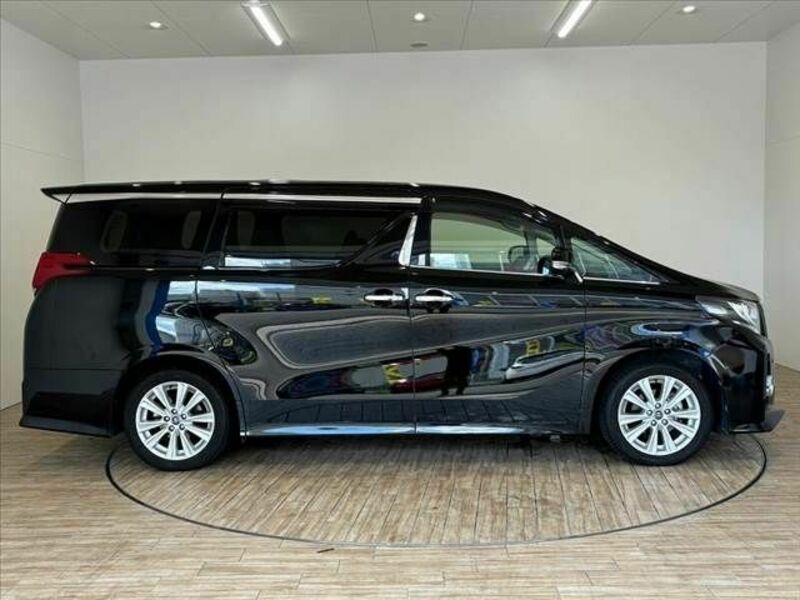 ALPHARD-15