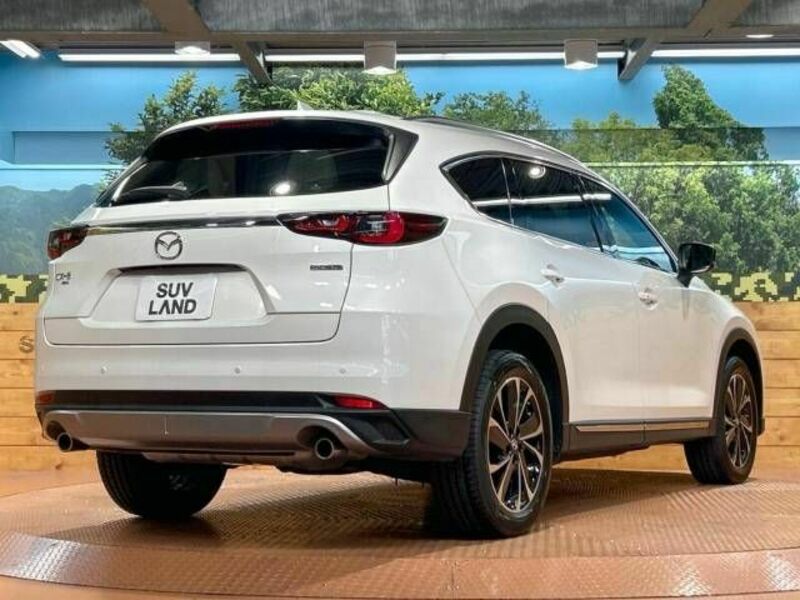 CX-8-18