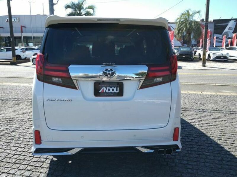 ALPHARD-6