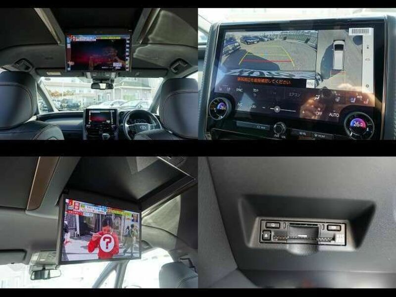 ALPHARD-7