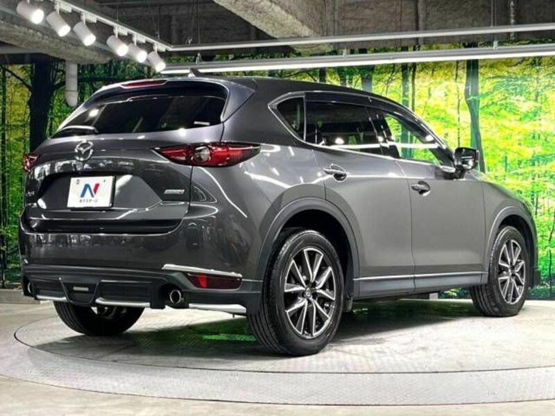 CX-5-17