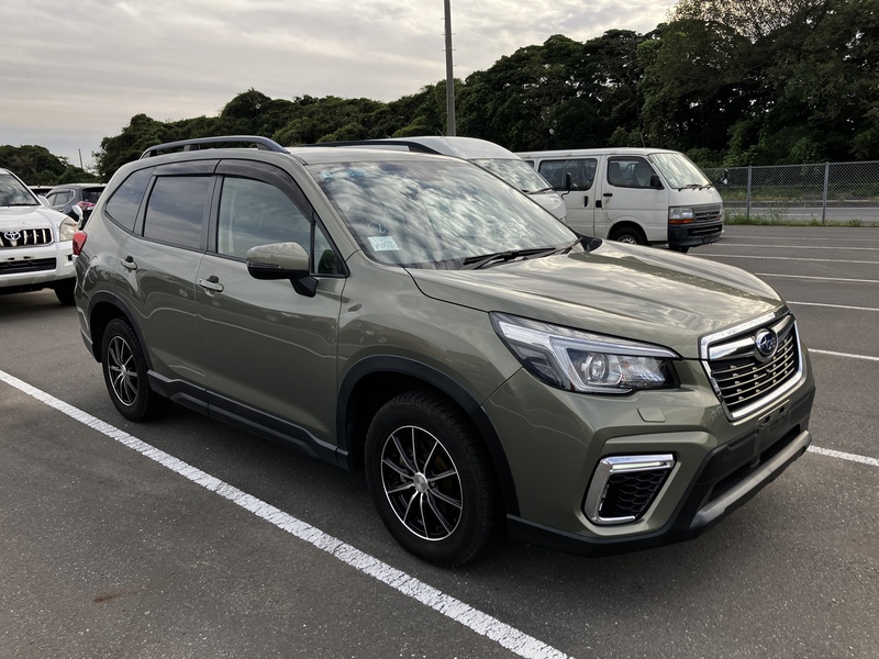 FORESTER-6