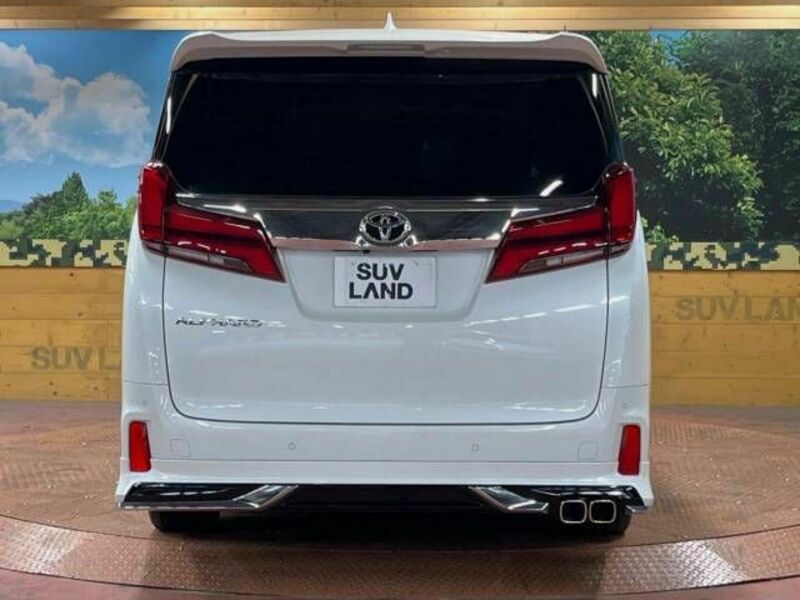 ALPHARD-16