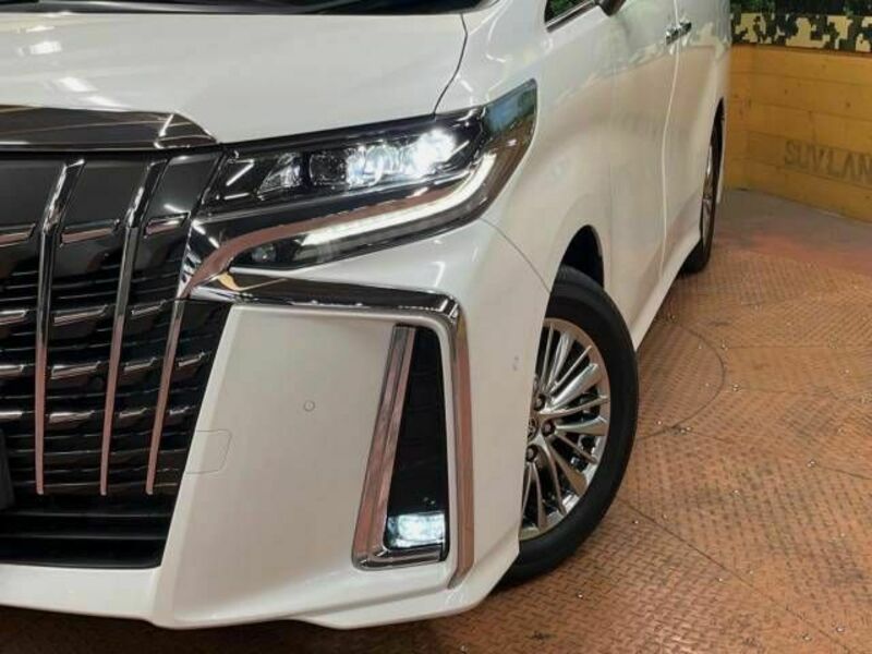 ALPHARD-13