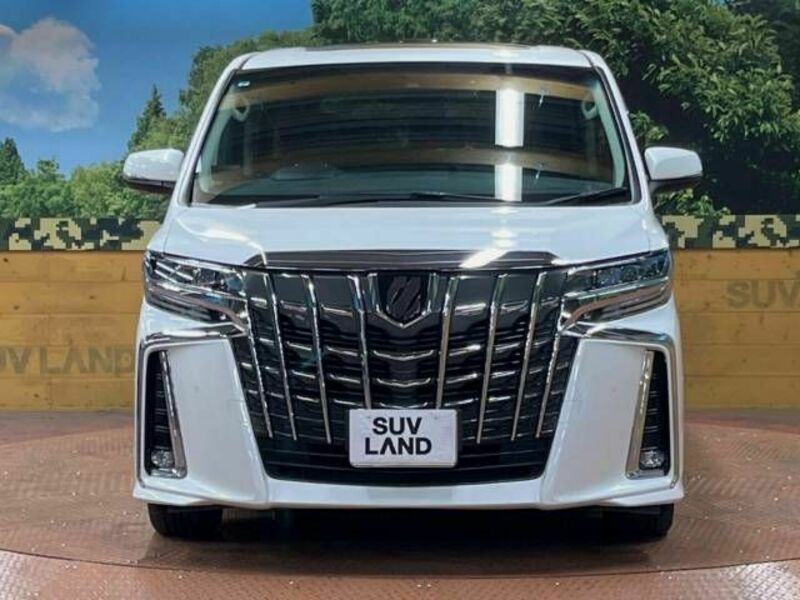 ALPHARD-15