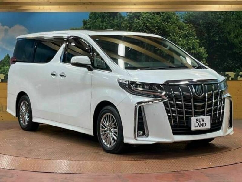 ALPHARD-17