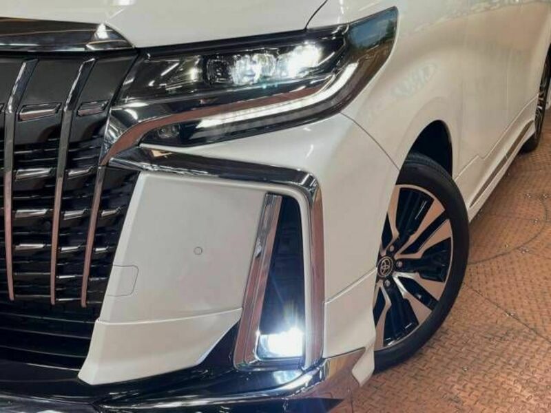 ALPHARD-13