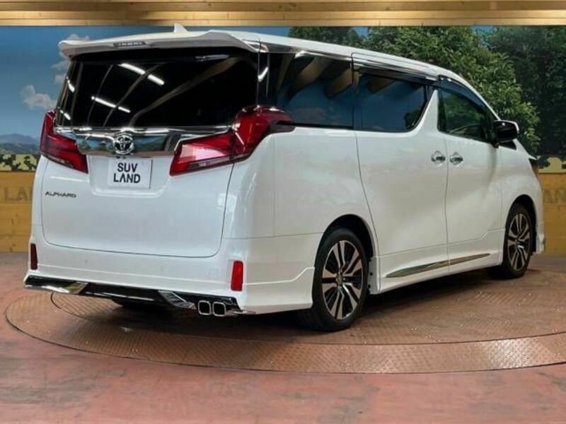 ALPHARD-18