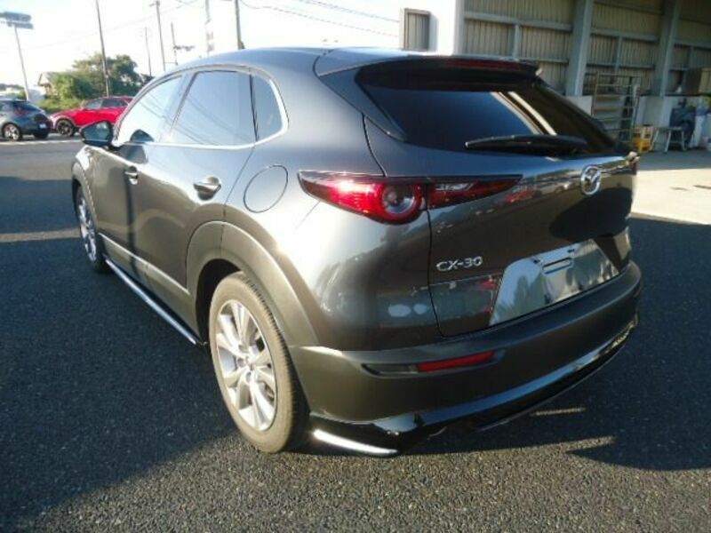 CX-30-2