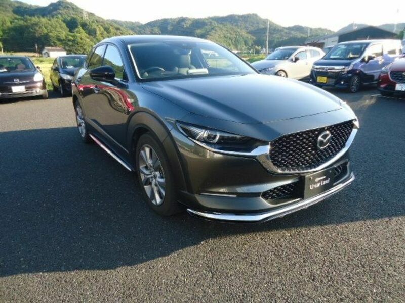 CX-30-4