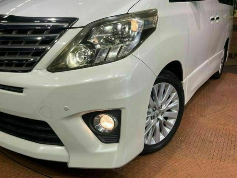 ALPHARD-8