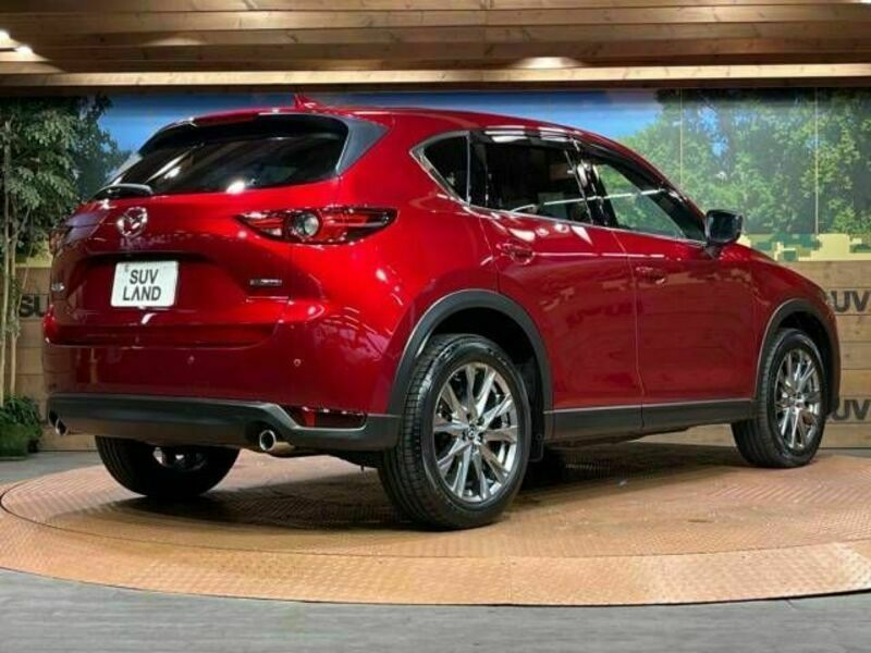 CX-5-17