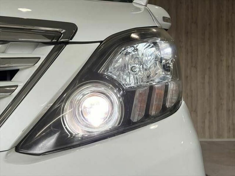 ALPHARD-14