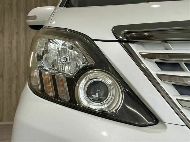 ALPHARD-24