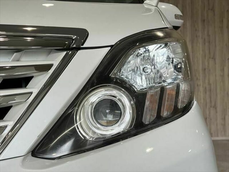 ALPHARD-25