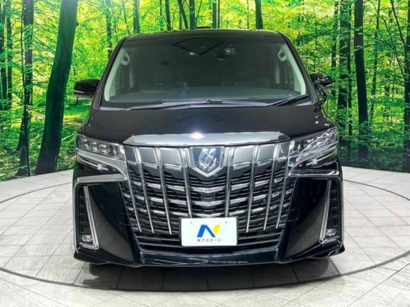 ALPHARD-15