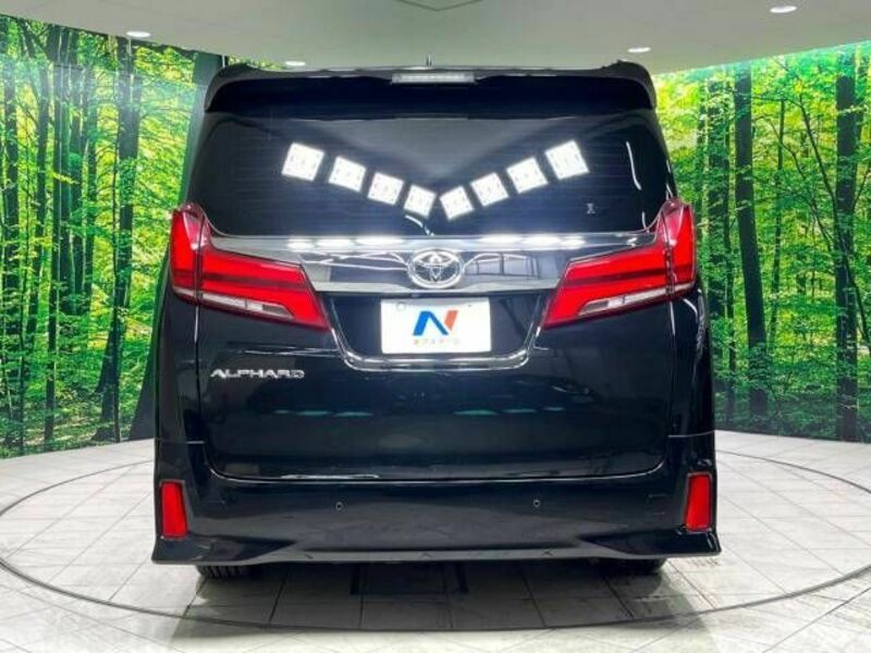 ALPHARD-16