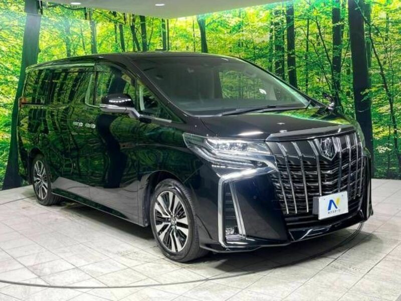 ALPHARD-17