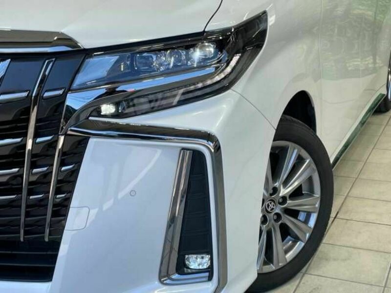 ALPHARD-13