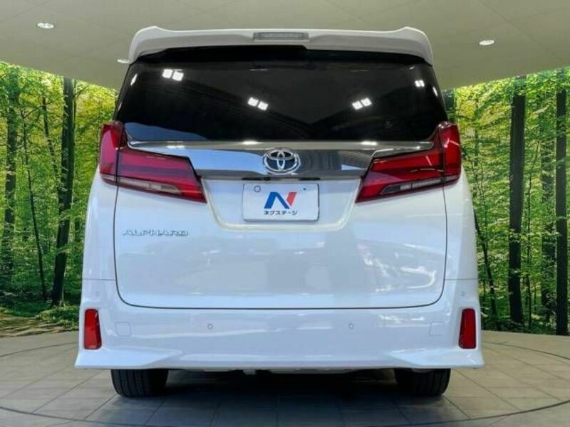 ALPHARD-16