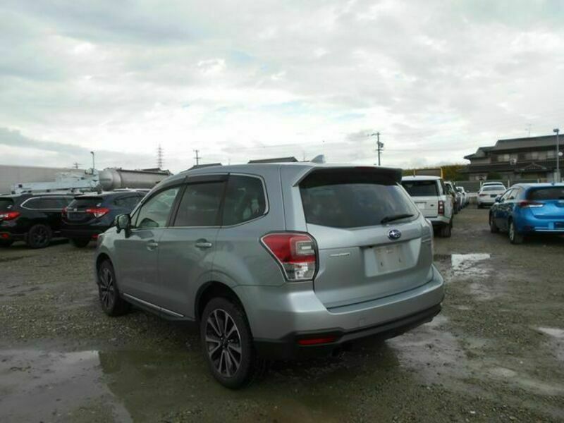 FORESTER-1