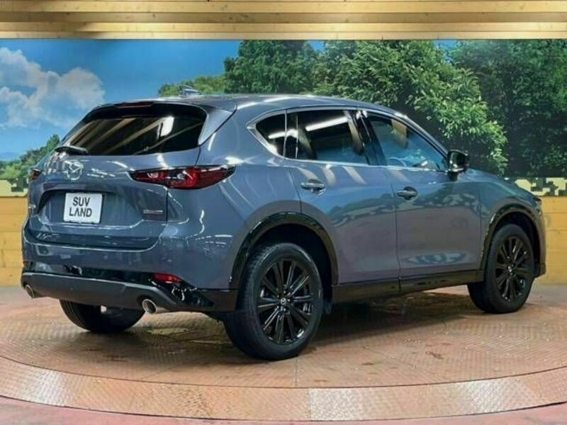 CX-5-17