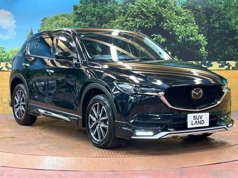 CX-5-17