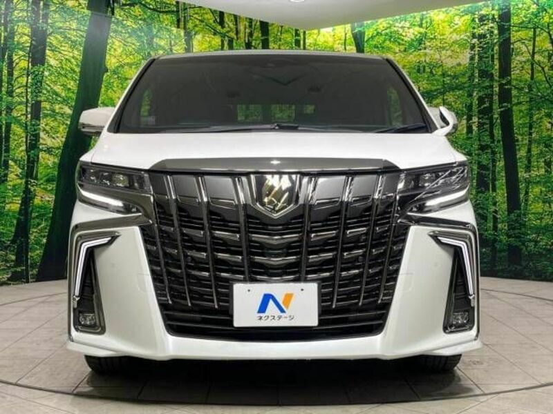 ALPHARD-15