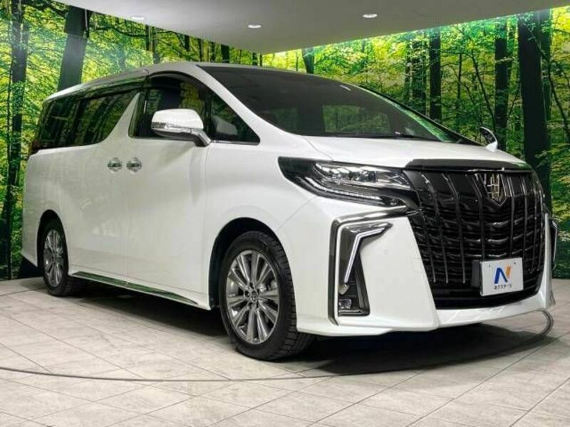 ALPHARD-17