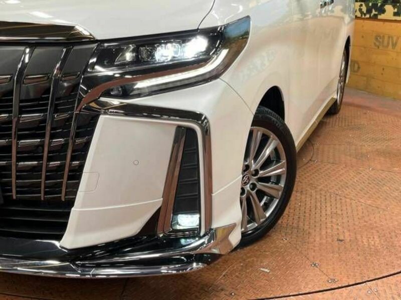 ALPHARD-13