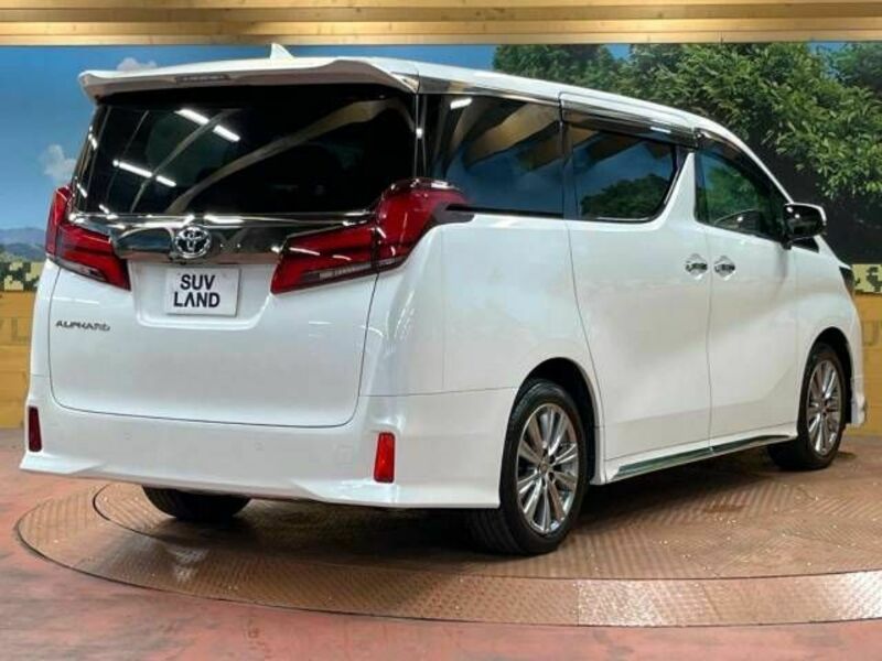 ALPHARD-18